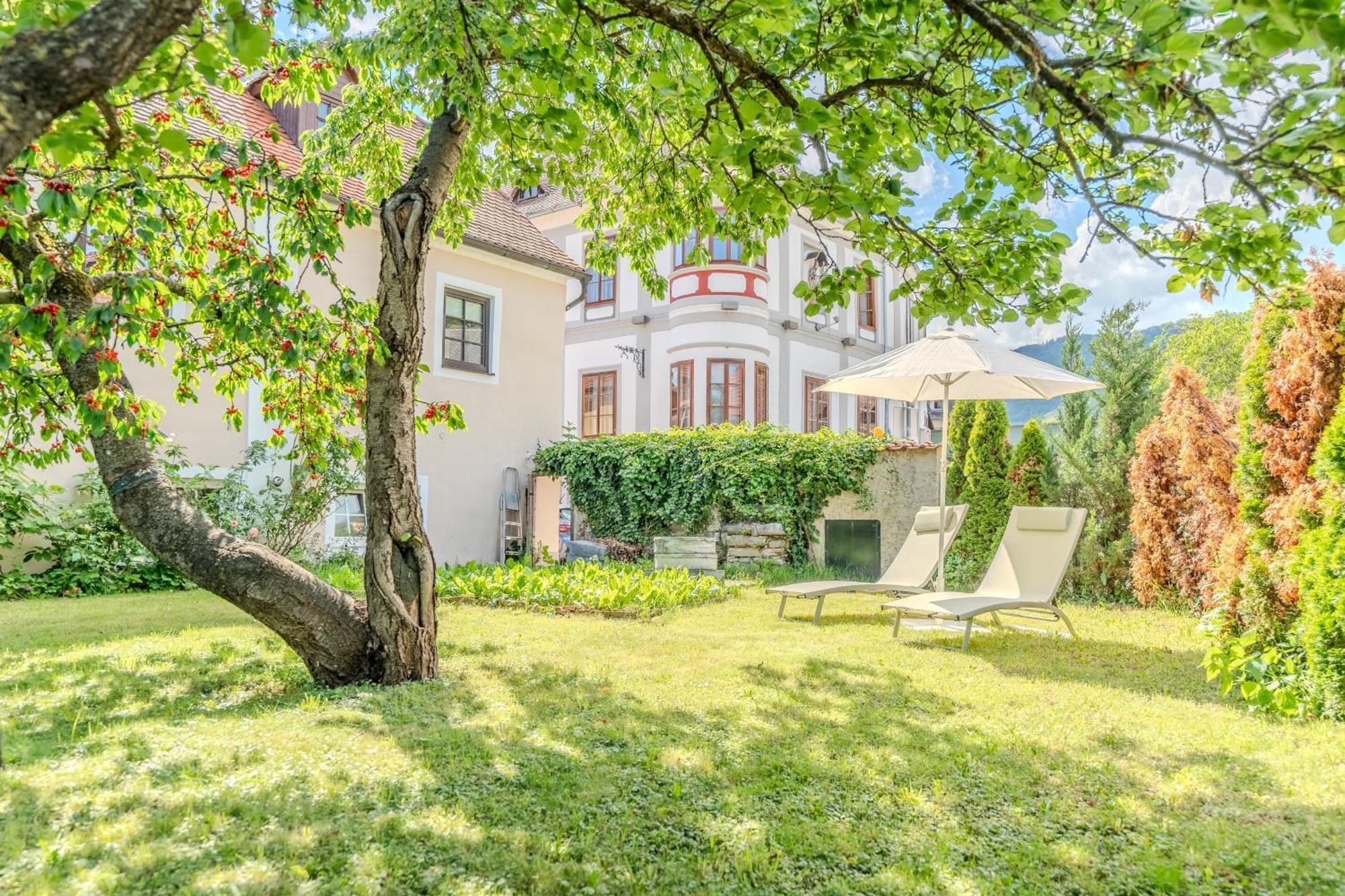 Вілла The Cozy Townhouse - Donaublick Spitz Spitz an der Donau Номер фото
